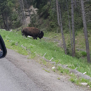 Meet your Posher, Will